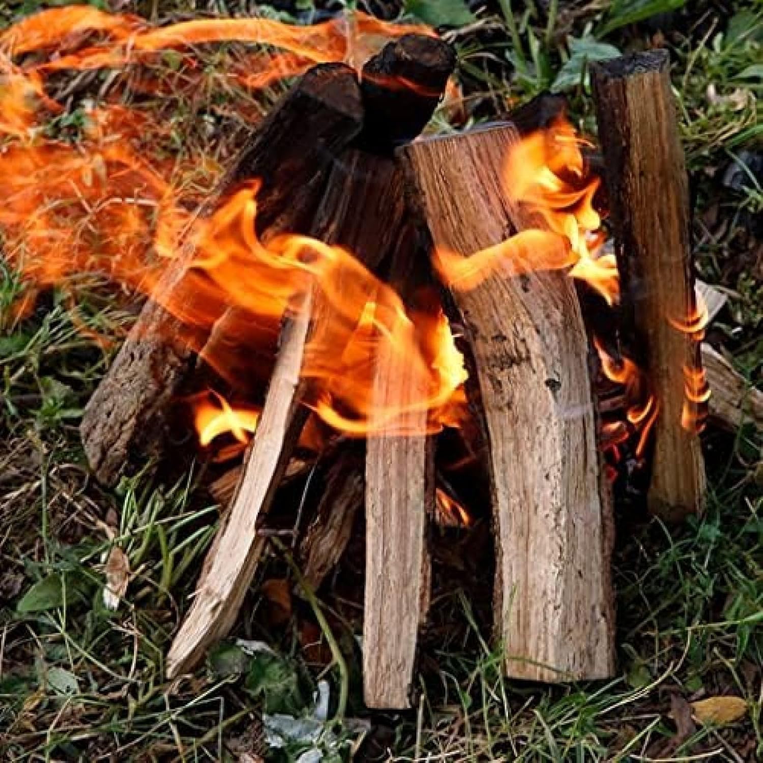 leña doméstica leña para acampar cortar a mano leña seca adornos chimenea calefacción caldera combustible leña troncos fogata leña gruesa combustible, 1kg leña doméstica leña para acampar cortar a mano leña seca adornos chimenea calefacción caldera combustible leña troncos fogata leña gruesa combustible, 1kg